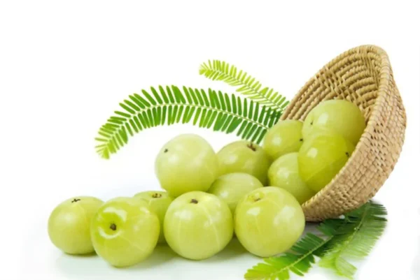 Gooseberry (Amla)