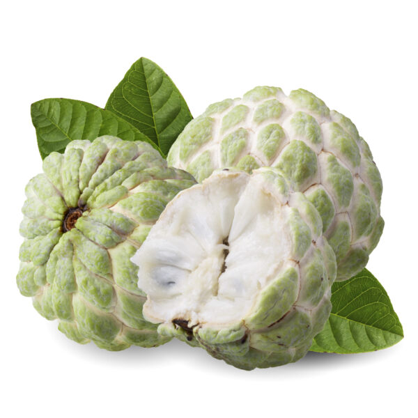 Custard Apple (Sitafal) Semi Ripe